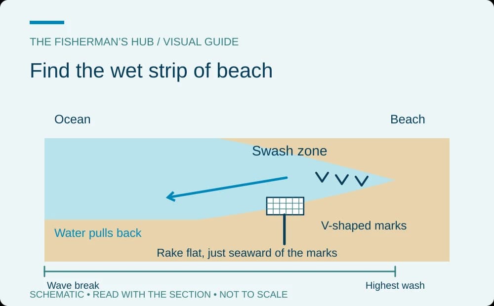 Wet beach strip with V-shaped marks between wave break and highest wash line